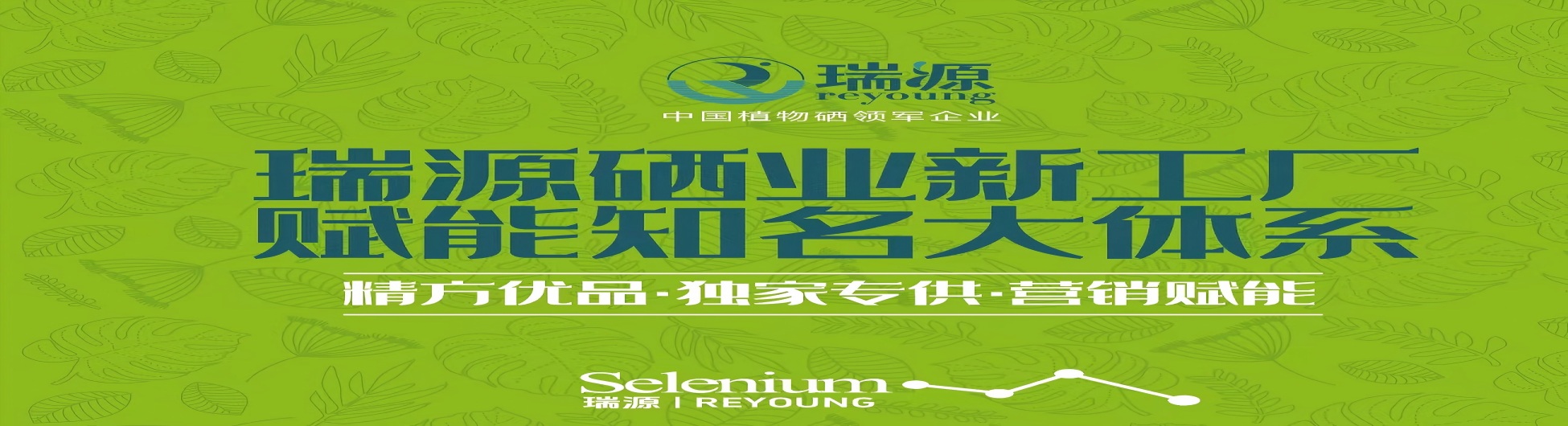 首页轮播图三